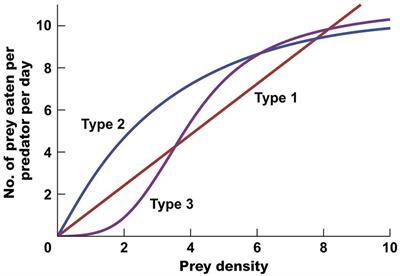 Some historical thoughts on the functional responses of predators to prey density